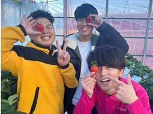 株式会社Lien du coeur Fermier(いちご農園フェルミエ)-top