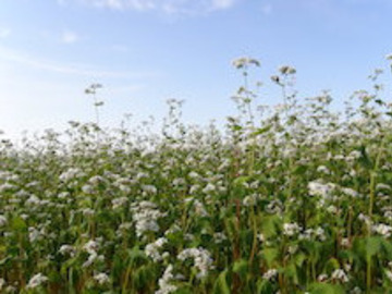 新得町農業協同組合-2