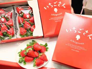 佐賀県伊万里市 園芸団地運営協議会 農業研修生募集-2