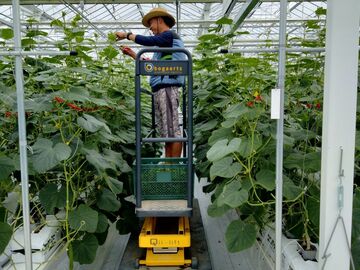 佐賀県伊万里市 園芸団地運営協議会 農業研修生募集-6