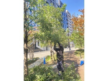 株式会社金子造園-1