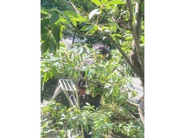 株式会社金子造園-2