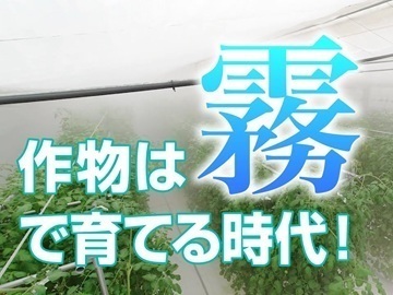大阪府大阪市西区×セールスエンジニア/法人【42787】-1