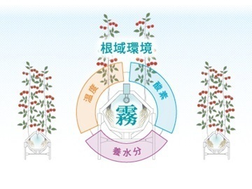 大阪府大阪市西区×セールスエンジニア/法人【42787】-3