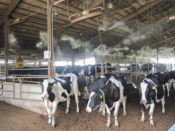 大阪府大阪市西区×セールスエンジニア/法人【42787】-2