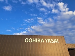 大平やさい株式会社-top