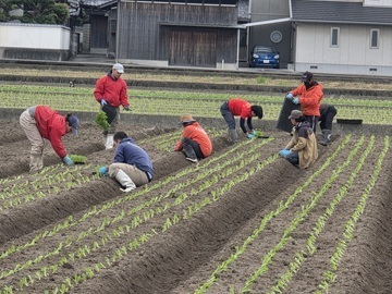 大平やさい株式会社-2