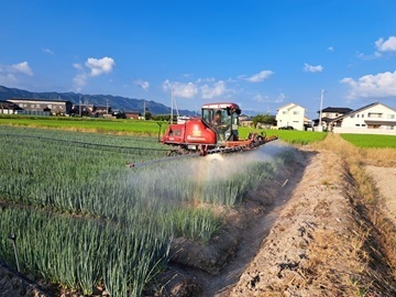 大平やさい株式会社-3