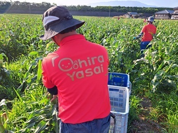 大平やさい株式会社-4