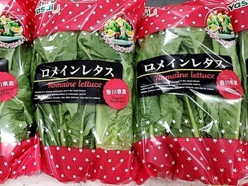 大平やさい株式会社-7