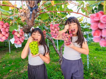東真産業株式会社　花笑み農園-5
