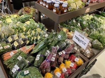 道の駅むつざわ つどいの郷-2