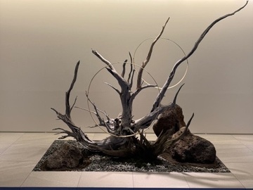 株式会社GREEN LAB-6