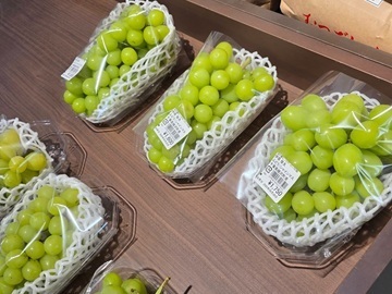 道の駅むつざわ つどいの郷-4