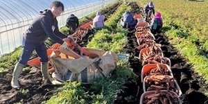 増田青果株式会社