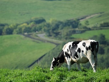 株式会社加藤公平商店-3