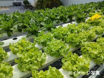 株式会社アンドツリー-4