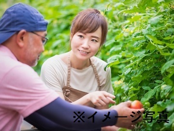 株式会社アンドツリー-8