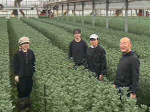 株式会社アグリフラワー-top