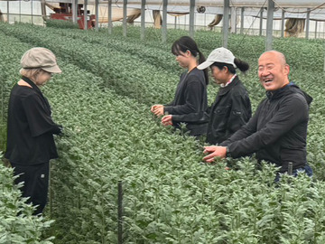 株式会社アグリフラワー-7