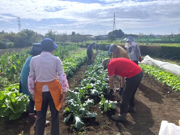 アイル・コーポレーション株式会社-top