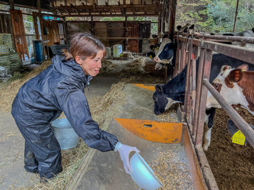 西條牧場(徳島県)-3