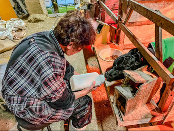 西條牧場(徳島県)-4