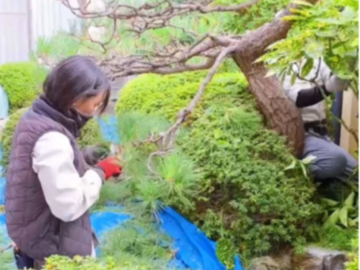 株式会社庭創-5