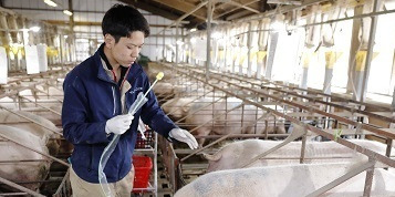 タローファーム株式会社