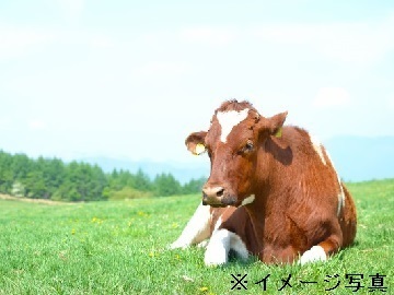 山梨県北杜市×酪農/法人【42806】-2
