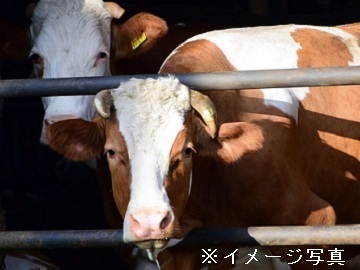 山梨県北杜市×酪農/法人【42806】-1