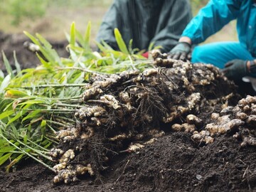 埼玉県・東京都×農場運営・新規事業責任者/法人【41410】-1
