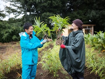 埼玉県・東京都×農場運営・新規事業責任者/法人【41410】-top