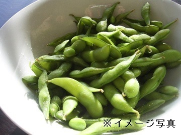 株式会社げんぞう-6