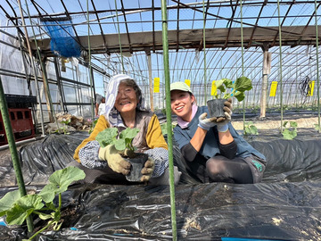 森木農園株式会社-5