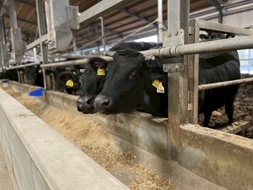 有限会社簗瀬牧場-2