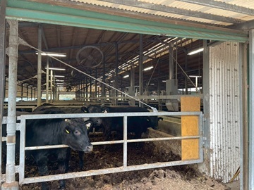 有限会社簗瀬牧場-3