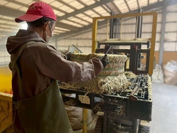 有限会社簗瀬牧場-4