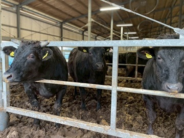 有限会社簗瀬牧場-5