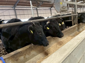 有限会社簗瀬牧場-7