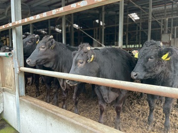 有限会社簗瀬牧場-8