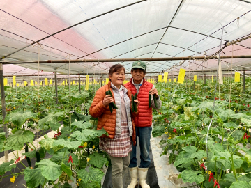 中村農園(宮崎)-1