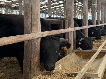 株式会社千春畜産-top