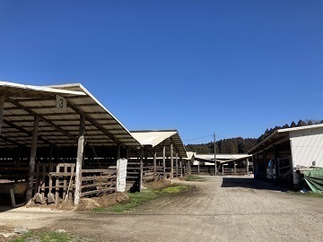 株式会社千春畜産-1