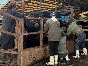 株式会社千春畜産-4