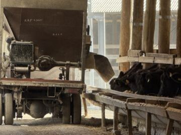 株式会社千春畜産-6