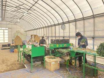 株式会社Negimafarm-2