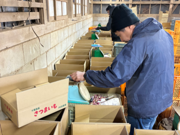 内田農園(八街市)-4