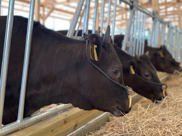 ひょうたん農場株式会社【畜産部門】-1