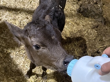 ひょうたん農場株式会社【畜産部門】-5